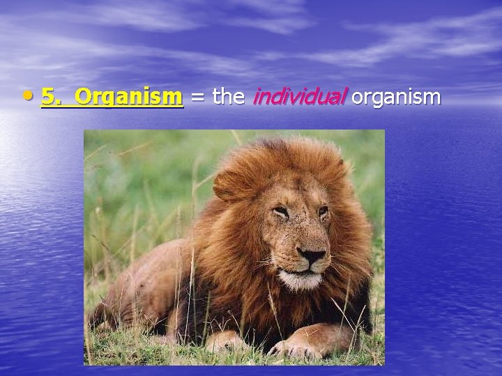  • 5. Organism = the individual organism 