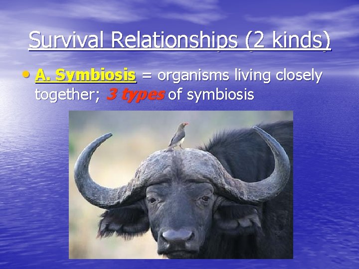 Survival Relationships (2 kinds) • A. Symbiosis = organisms living closely together; 3 types