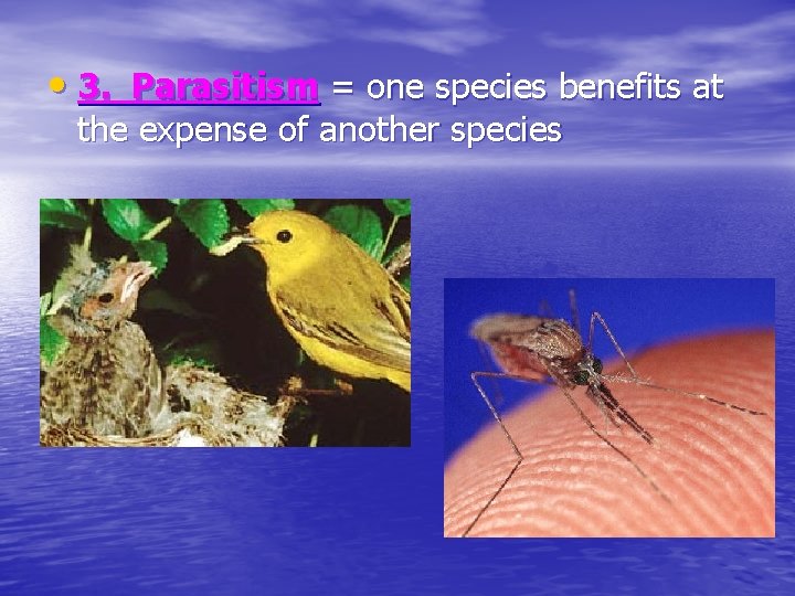  • 3. Parasitism = one species benefits at the expense of another species