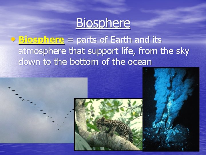 Biosphere • Biosphere = parts of Earth and its atmosphere that support life, from