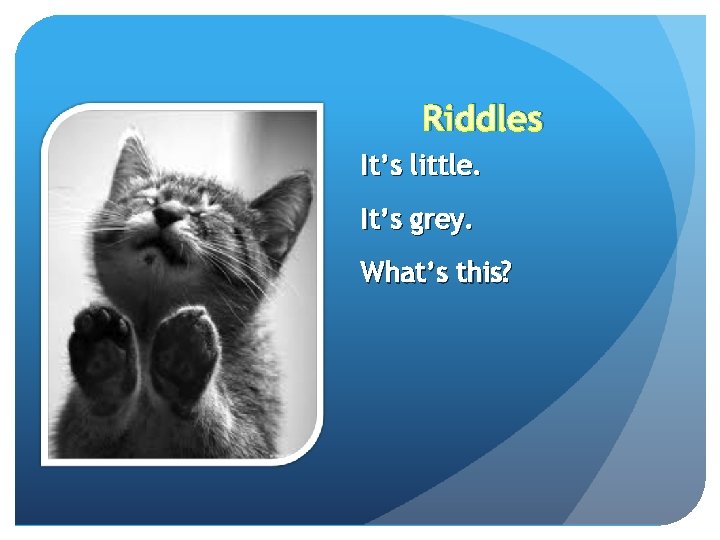 Riddles It’s little. It’s grey. What’s this? 