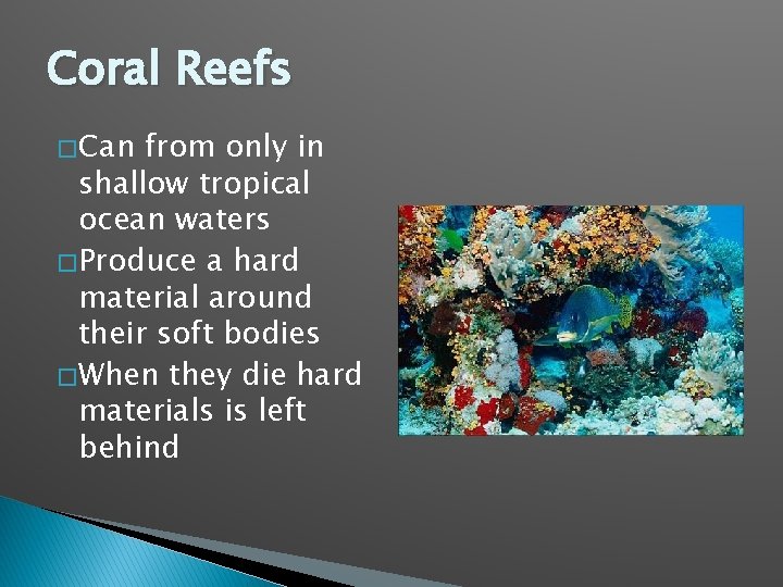 Coral Reefs � Can from only in shallow tropical ocean waters � Produce a