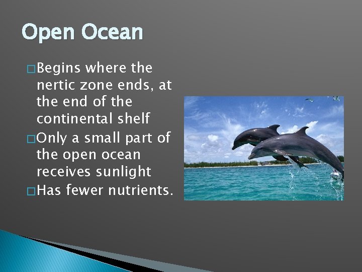 Open Ocean � Begins where the nertic zone ends, at the end of the