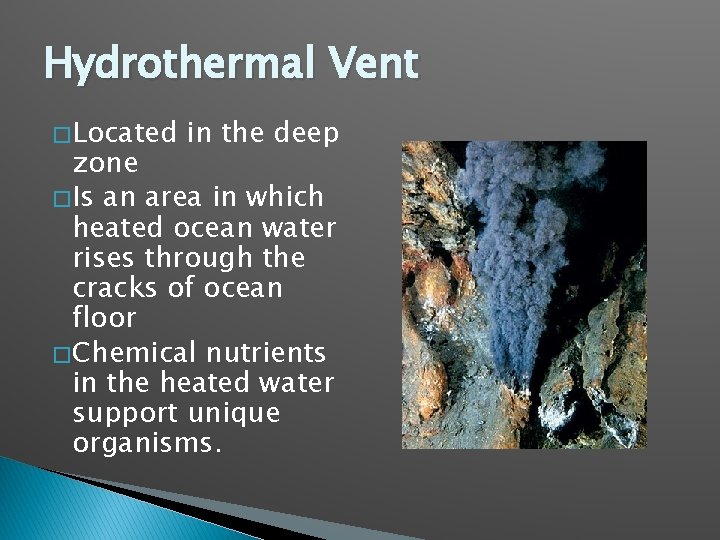 Hydrothermal Vent � Located in the deep zone � Is an area in which