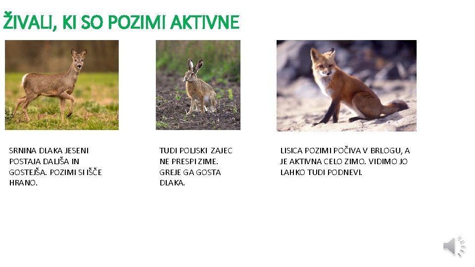 ŽIVALI, KI SO POZIMI AKTIVNE SRNINA DLAKA JESENI POSTAJA DALJŠA IN GOSTEJŠA. POZIMI SI