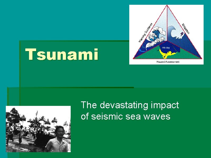 Tsunami The devastating impact of seismic sea waves Tsunami The devastating impact of seismic sea waves