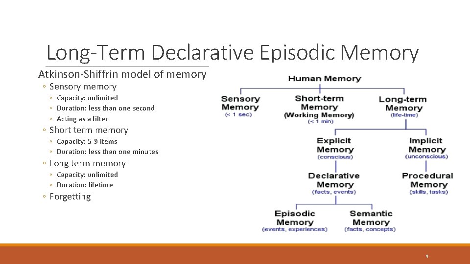 Long-Term Declarative Episodic Memory Atkinson-Shiffrin model of memory ◦ Sensory memory ◦ Capacity: unlimited
