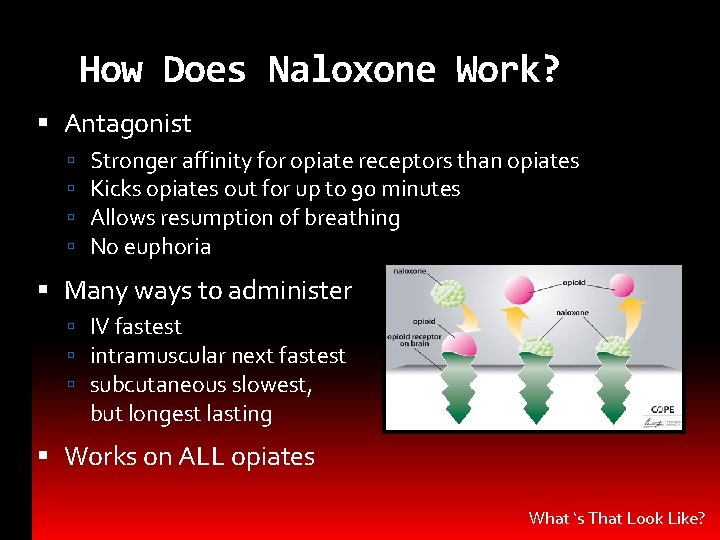 How Does Naloxone Work? Antagonist Stronger affinity for opiate receptors than opiates Kicks opiates