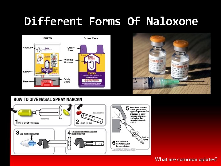 Different Forms Of Naloxone What are common opiates? 