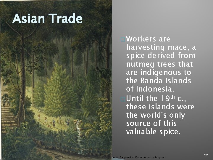 Asian Trade � Workers are harvesting mace, a spice derived from nutmeg trees that