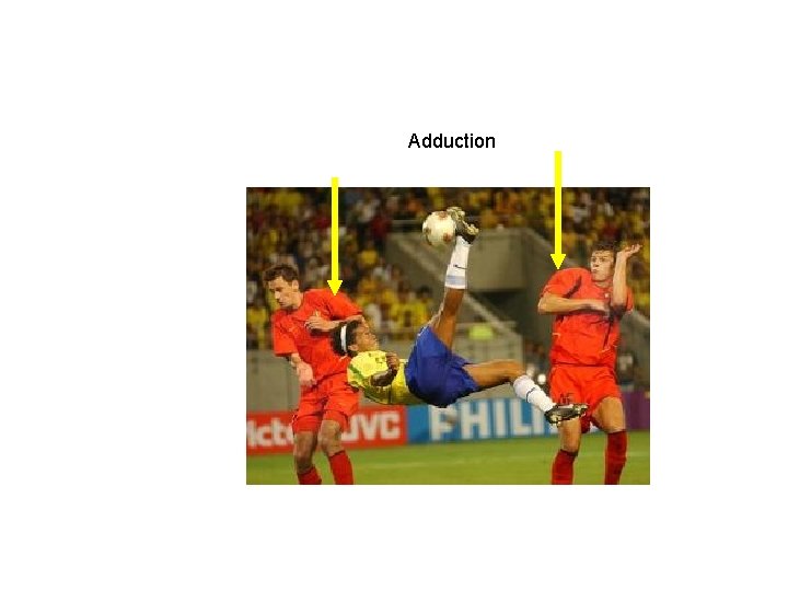 Adduction 