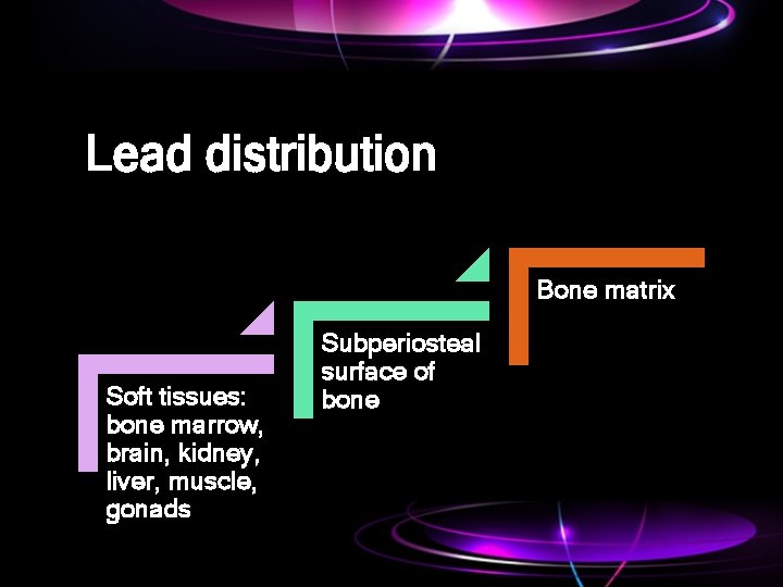 Lead distribution Bone matrix Soft tissues: bone marrow, brain, kidney, liver, muscle, gonads Subperiosteal