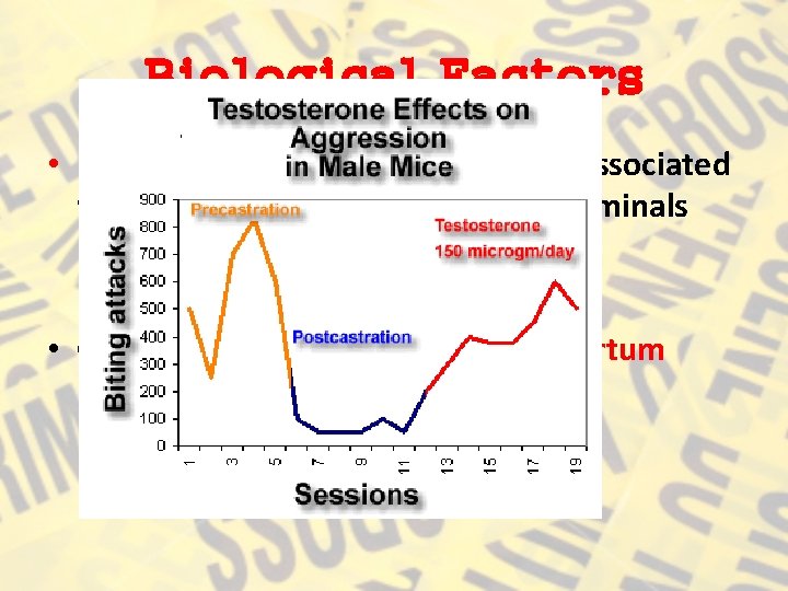 Biological Factors • Hormones: testosterone has been associated with traits of aggression. Violent criminals