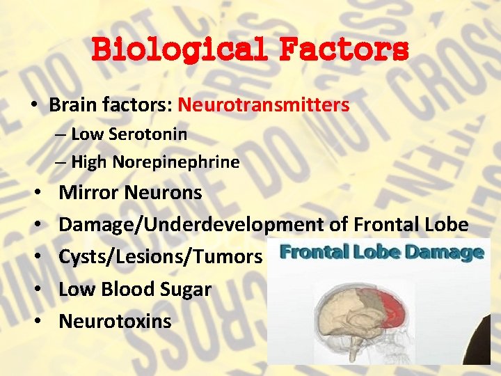 Biological Factors • Brain factors: Neurotransmitters – Low Serotonin – High Norepinephrine • •