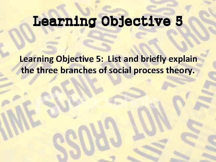 Learning Objective 5: List and briefly explain the three branches of social process theory.