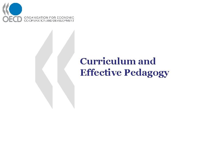 Curriculum and Effective Pedagogy 