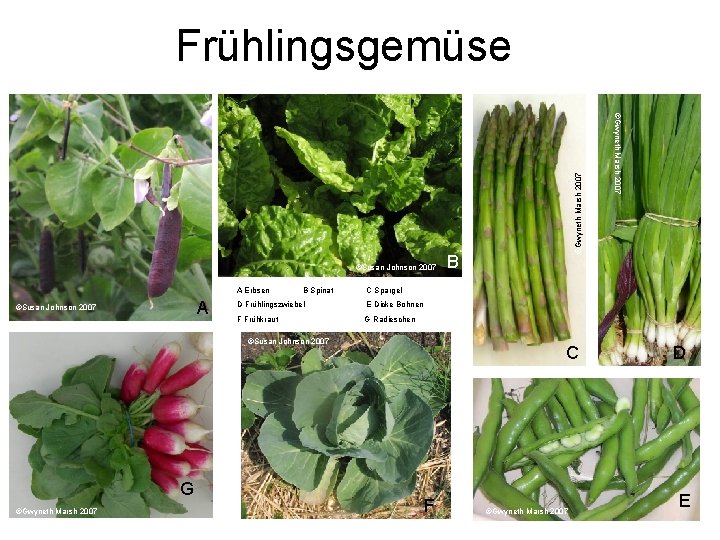 A Erbsen A ©Susan Johnson 2007 B Spinat B C Spargel D Frühlingszwiebel E