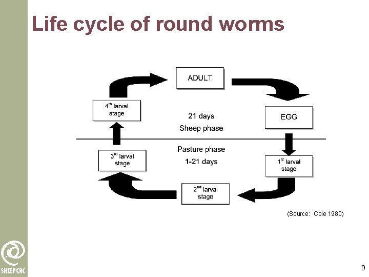 Life cycle of round worms (Source: Cole 1980) 9 