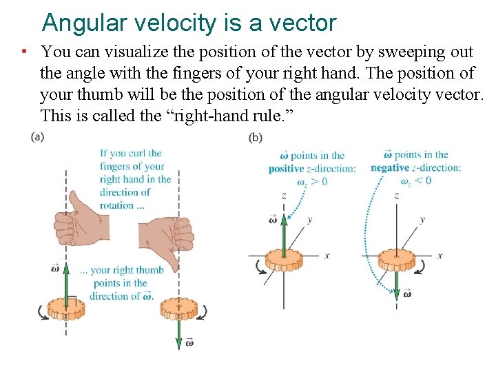 Angular velocity is a vector • You can visualize the position of the vector
