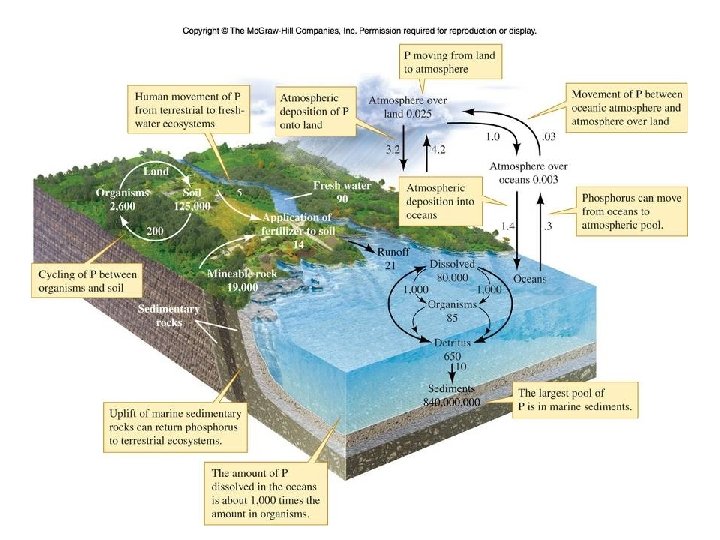 Figure 19_02 