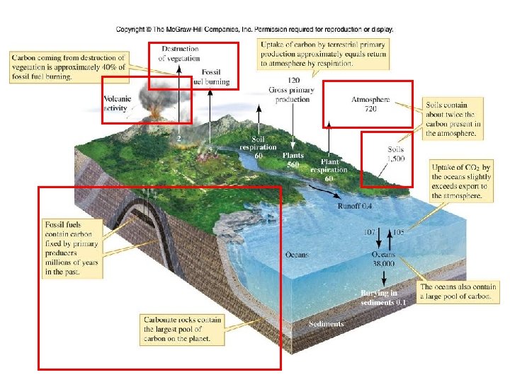 Figure 19_04 