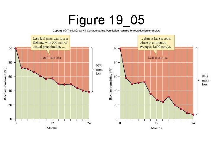 Figure 19_05 