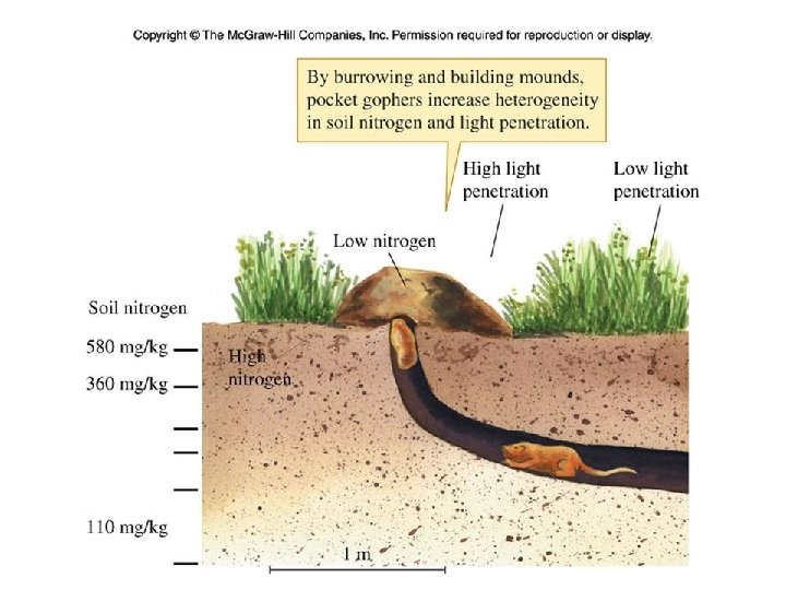 Figure 19_17 