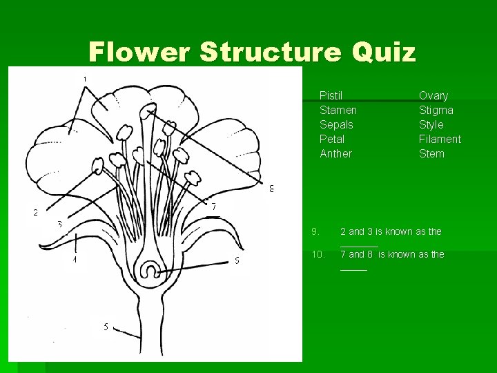 Flower Structure Quiz Pistil Stamen Sepals Petal Anther 9. 10. Ovary Stigma Style Filament