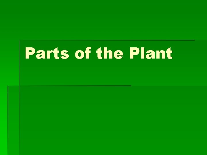 Parts of the Plant 