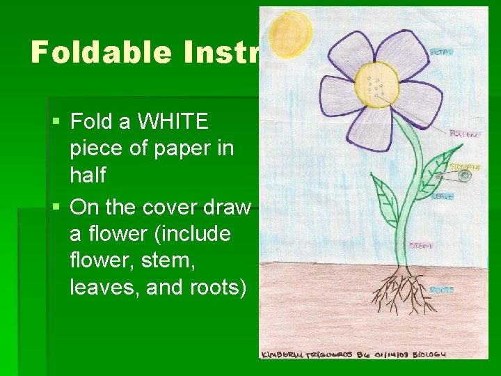 Foldable Instructions § Fold a WHITE piece of paper in half § On the