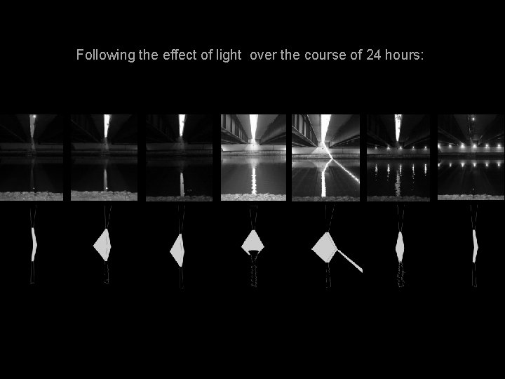 Following the effect of light over the course of 24 hours: 