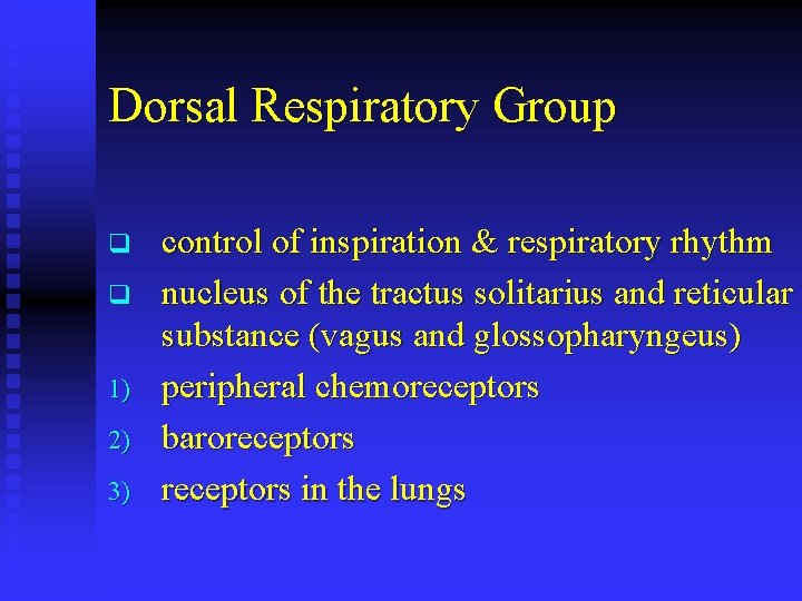 Dorsal Respiratory Group q q 1) 2) 3) control of inspiration & respiratory rhythm