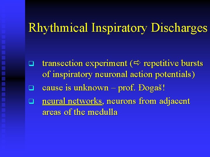 Rhythmical Inspiratory Discharges q q q transection experiment ( repetitive bursts of inspiratory neuronal