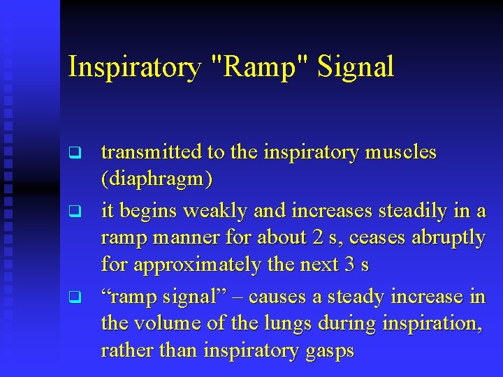 Inspiratory "Ramp" Signal q q q transmitted to the inspiratory muscles (diaphragm) it begins