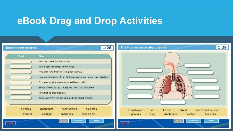 e. Book Drag and Drop Activities e. Book Drag and Drop Activities