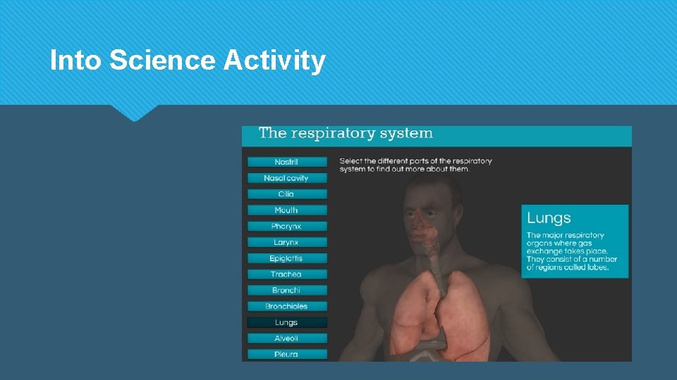 Into Science Activity Into Science Activity