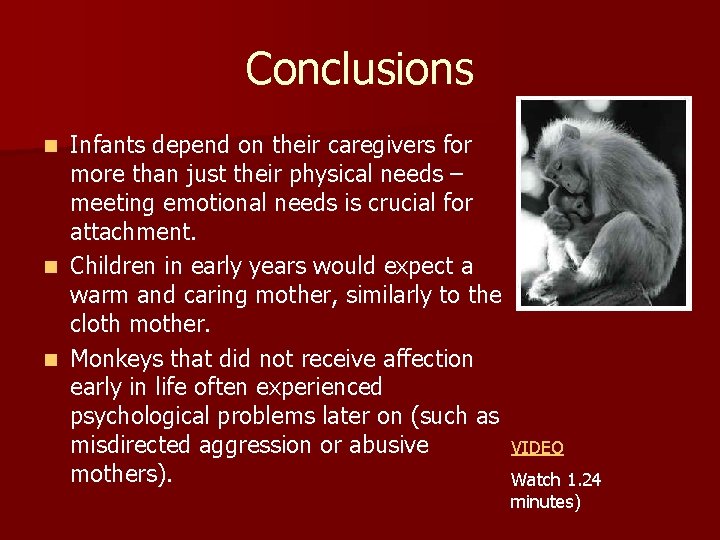 Conclusions Infants depend on their caregivers for more than just their physical needs –