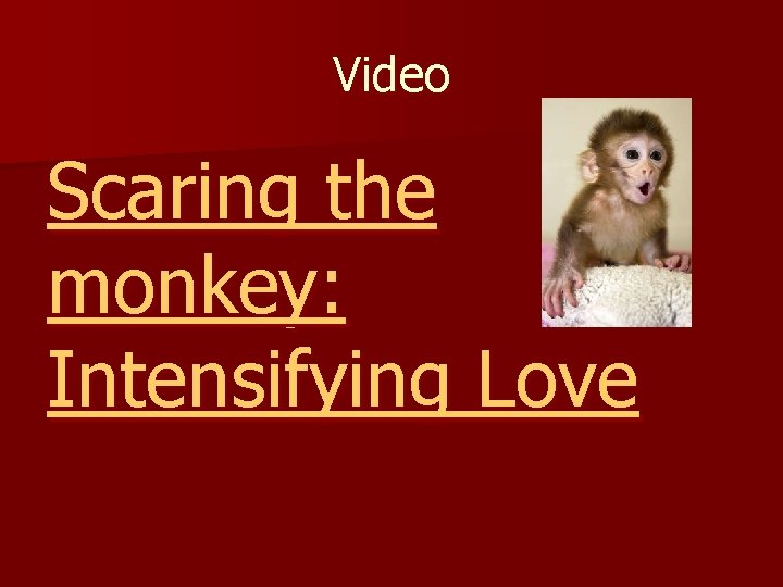 Video Scaring the monkey: Intensifying Love 