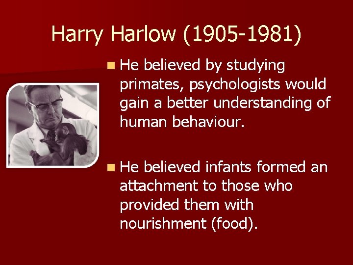 Harry Harlow (1905 -1981) n He believed by studying primates, psychologists would gain a