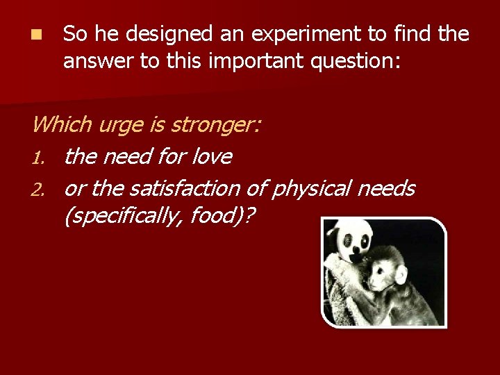 n So he designed an experiment to find the answer to this important question: