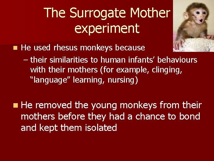 The Surrogate Mother experiment n He used rhesus monkeys because – their similarities to