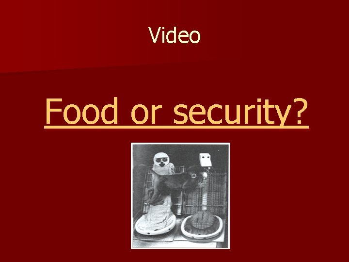 Video Food or security? 