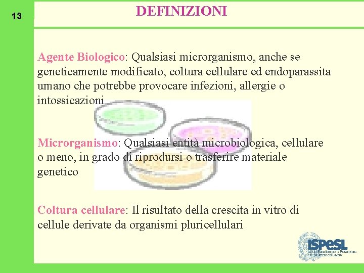 13 DEFINIZIONI Agente Biologico: Qualsiasi microrganismo, anche se geneticamente modificato, coltura cellulare ed endoparassita