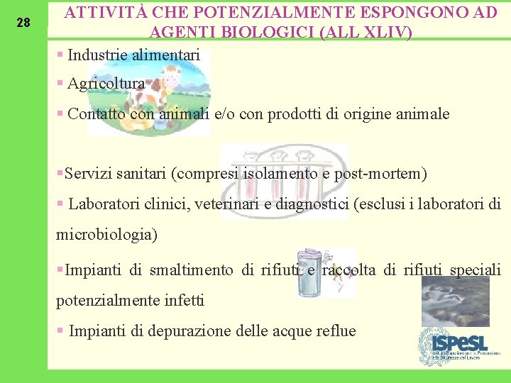 28 ATTIVITÀ CHE POTENZIALMENTE ESPONGONO AD AGENTI BIOLOGICI (ALL XLIV) § Industrie alimentari §