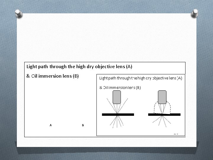 Light path through the high dry objective lens (A) & Oil immersion lens (B)