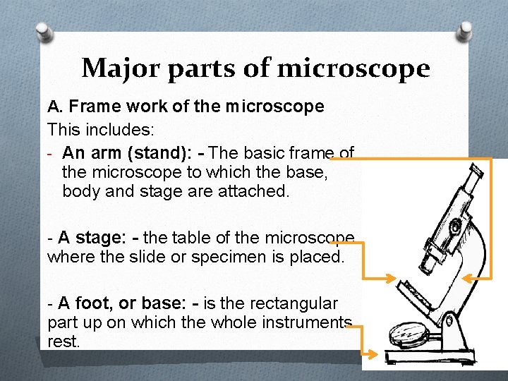 Major parts of microscope A. Frame work of the microscope This includes: - An