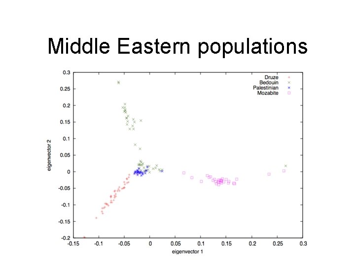 Middle Eastern populations 