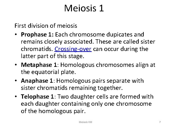 Meiosis 1 First division of meiosis • Prophase 1: Each chromosome dupicates and remains