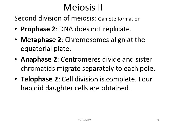 Meiosis II Second division of meiosis: Gamete formation • Prophase 2: DNA does not