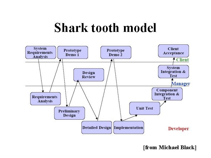 Shark tooth model [from Michael Black] 